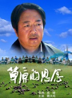 朝阳轮胎属于什么档次